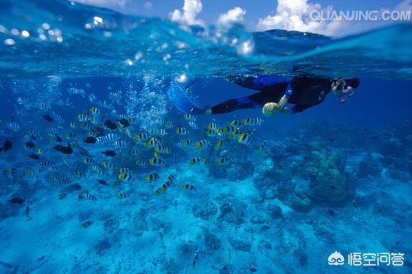 灵异事件都能用科学解释:二十一世纪以来有什么未解之谜现在可以用科学解释了？