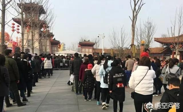 郑州狗狗:郑州景区小狗禁止入内，女孩将狗塞进衣服里，你怎么看？