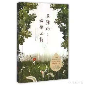 有没有让你哭成狗的小说？