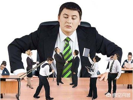 公司为什么将皮包公司的股权分配给员工？