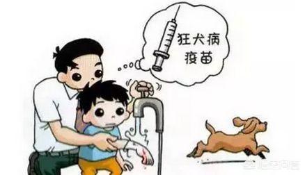 人传染上狂犬病会学狗叫吗:狂犬病发作是一种什么感觉？