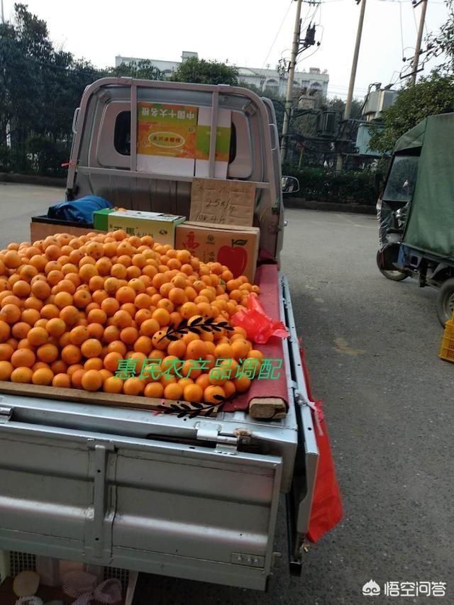 头条问答 - 做水果生意,利润如何?(141个回答)