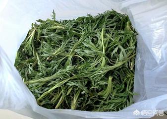 吉林人爱吃的柳蒿芽,最正宗的做法是什么？