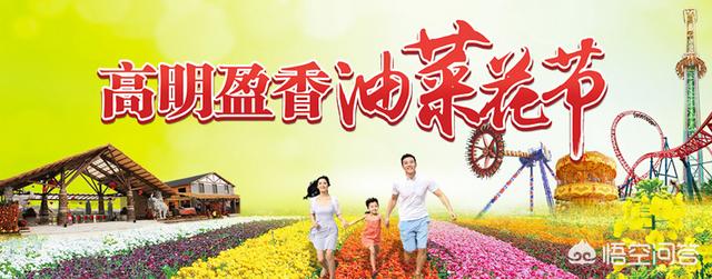 2020年5月份蓝花楹报价多少:佛山有哪些必去的赏花胜地？