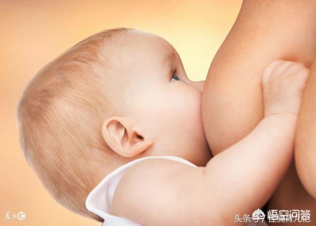 产妇 通草鲫鱼汤:产妇通草鲫鱼汤怎么做 坐月子吃什么奶水多，又可以恢复好身体？
