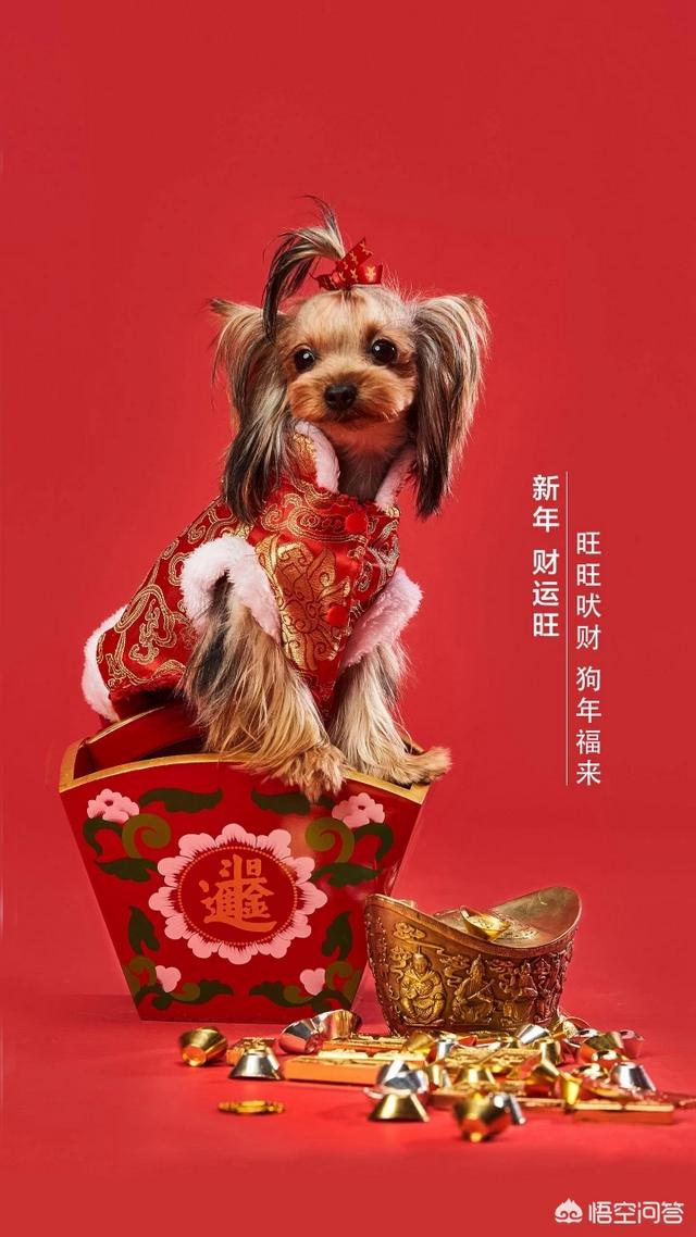 头条问答 - 公共场所怎样暗示大声讲话的人,让他说话轻点?(2个回答)