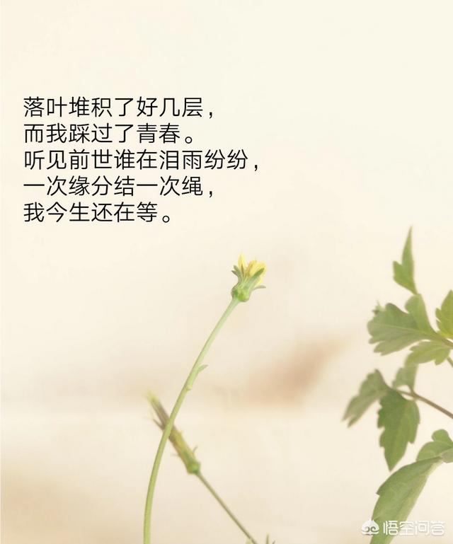 表达心情不好的句子和图片:大家有没有伤感的句子和图片？