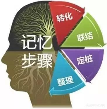 用利玛窦的记忆宫殿真的能提高长期记忆力吗？