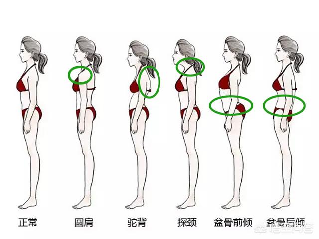 furminator猫刷子厂家:一个淹没在人群中的普通女孩子，怎样可以逆袭？