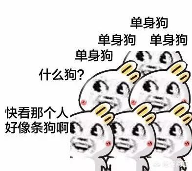 頭條問答 - 還有哪些懷疑人生的圖片?(11個回答)