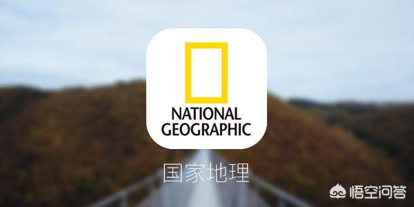 播报哥抢红包工具:有哪些好的手机app推荐