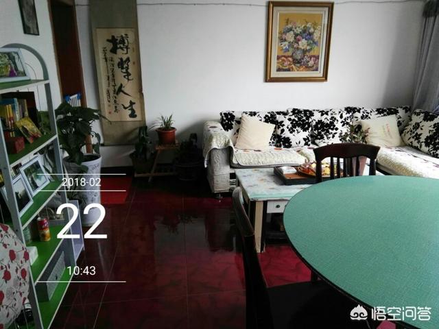 爱狗网论坛怎么关:一个爱狗人士，一个国足，一个搞传销的关在一个屋里会发生什么？
