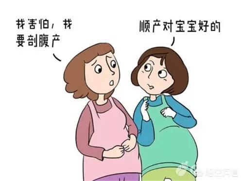 男子活剖孕狗拍视频截图:二胎老公要求剖腹产，我该怎么办？