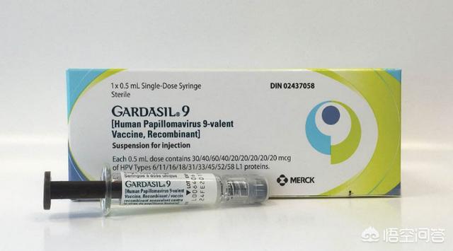 hpv疫苗是什么,hpv疫苗四阶和二阶啥区别？