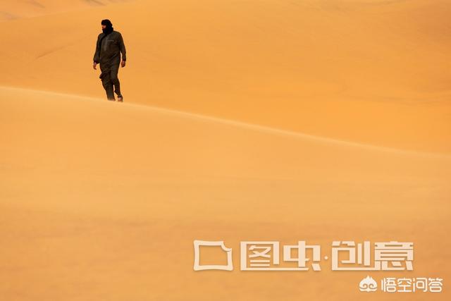 洛克王国鲁米:如果一个男人背叛了你，而你没有后路可退了，你该如何处理？