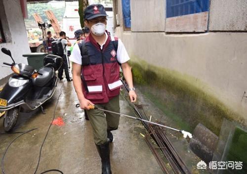 早餐店苍蝇太多怎么消灭最好:早餐店苍蝇太多怎么消灭 如何杀死公共场所的苍蝇？