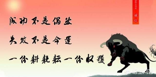 你能说出的经典励志名言有哪些？