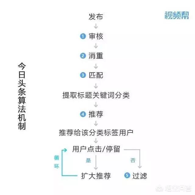 如何理解短视频平台运营策略这个词？