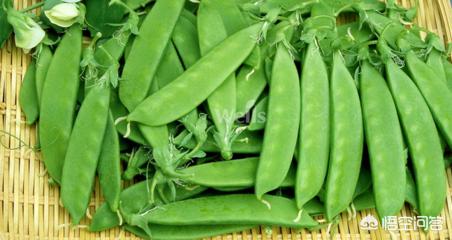 西红柿生吃与熟吃的营养价值如何呢？