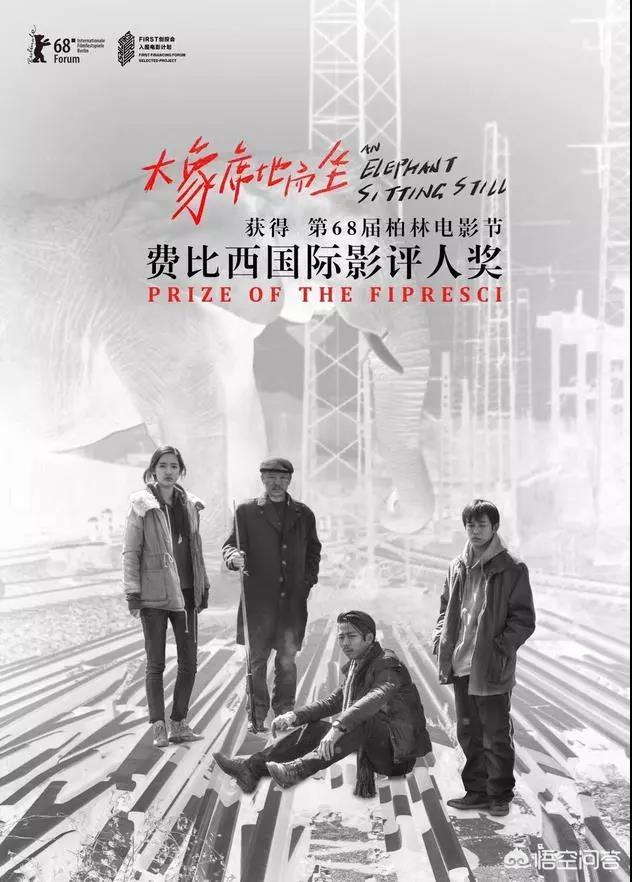 大象席地而坐导演:有人说中国电影在走下坡路，你怎么看？