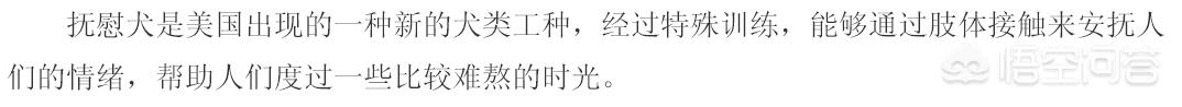 法斗犬能坐飞机吗:宠物也能跟主人一起乘飞机？