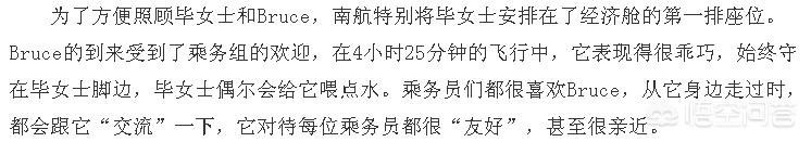 法斗犬能坐飞机吗:宠物也能跟主人一起乘飞机？