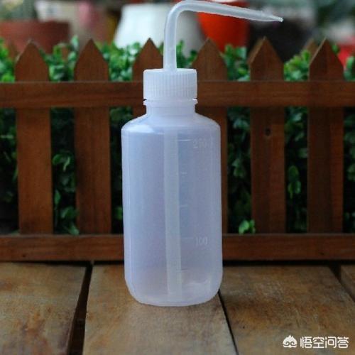 多肉仙人球怎么浇水:隔多久才能给自己的多肉浇水？