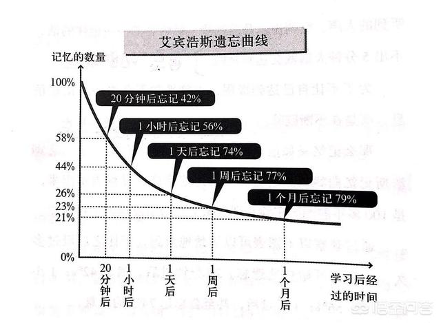 怎样做思维导图,WPS如何制作思维导图？