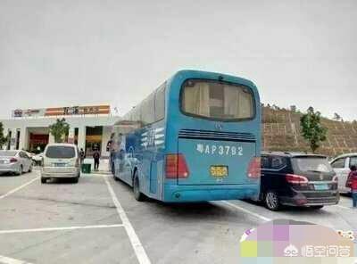 重庆圣心宠物医院是个黑店:高速服务区，大巴司机是免费吃饭吗？