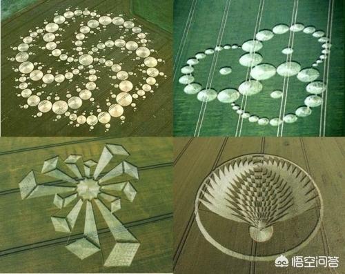 麦田怪圈解密:传说中的麦田怪圈有没有在中国出现过