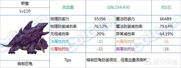 dnf坚硬的乌龟壳:乌龟壳有什么作用和功效？