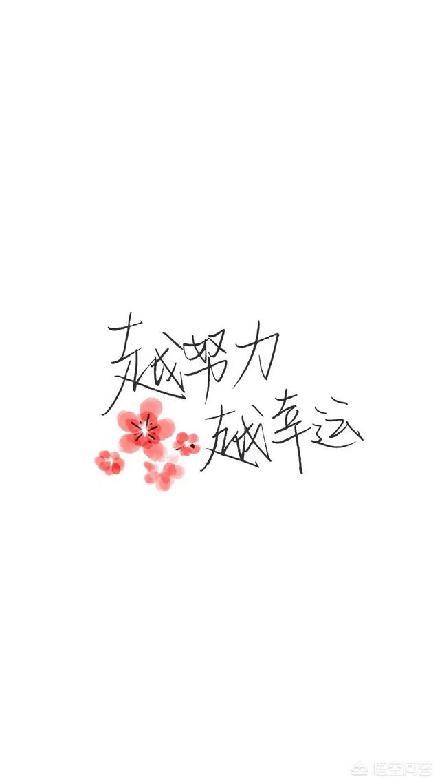 安卓手机免费更换微信主题技巧(安卓微信主题怎么弄)