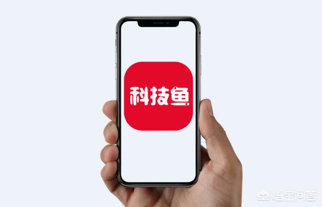 马云微信的二维码图片:如果没有二维码，支付宝和微信会有今天的格局吗？