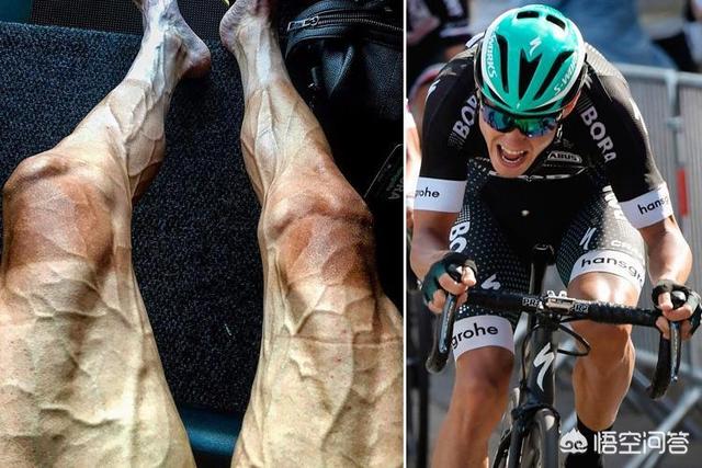 自行车运动员的腿