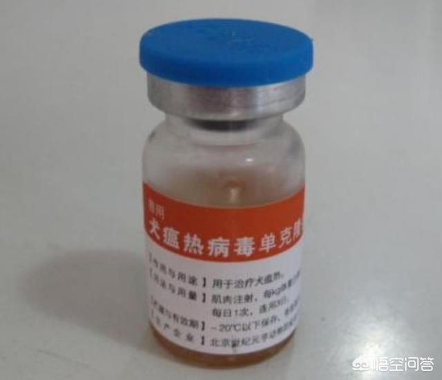 预防犬瘟热中药:狗狗得了细小犬瘟热很多中成药可以治，为什么还要去医院打针？
