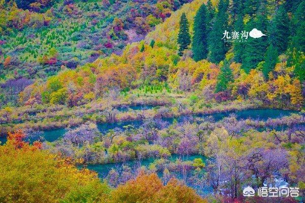 九寨沟旅游心得(九寨沟周边游玩攻略)