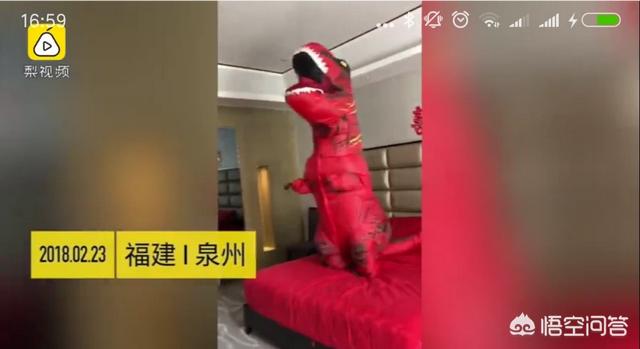 杨海润:如何看待新郎接新娘接到超萌恐龙？