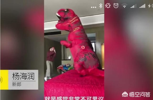 杨海润:如何看待新郎接新娘接到超萌恐龙？