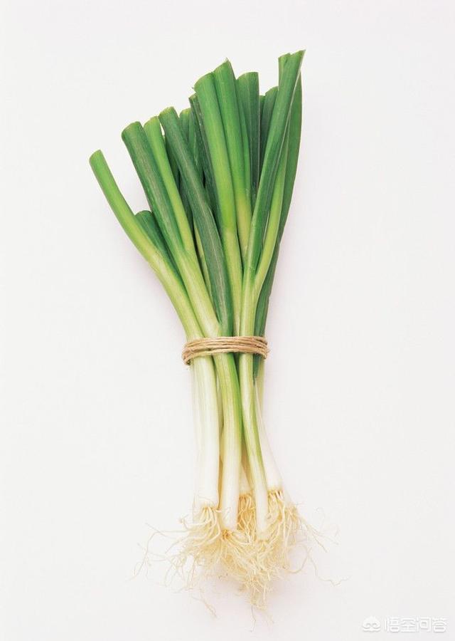 头条问答 - 葱含有什么营养?(17个回答)