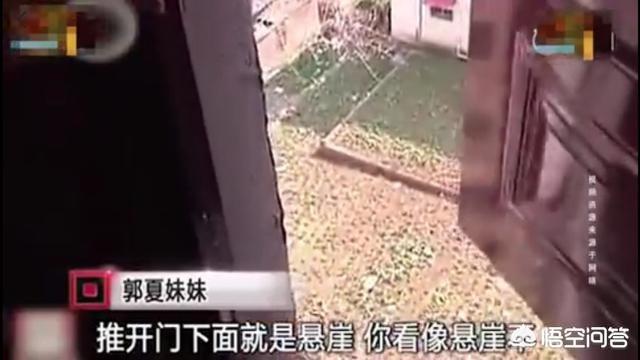 楼道门事件完整:小区楼道出口被邻居封了怎么办