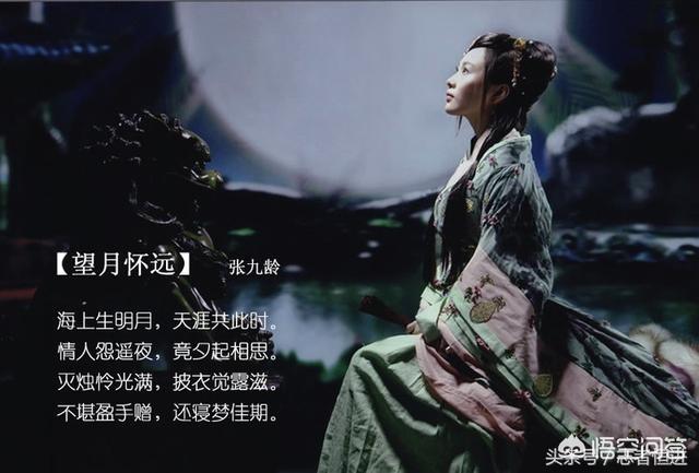 你见过哪些最美的句子，一眼就爱上(第一眼就爱上的句子)