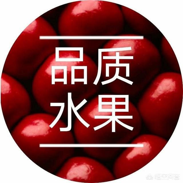 怎样才可以开店铺呢？需要什么流程？