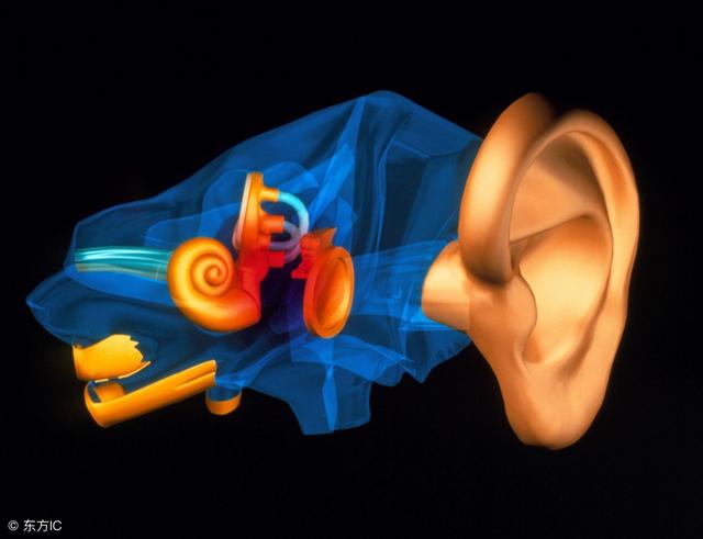 怎么样掏耳朵最干净，经常掏耳朵会对耳朵有伤害吗