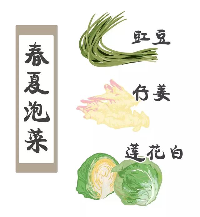 《舌尖3》播出后，四川泡菜遭吐槽，调料放太多。你认为四川泡菜的魅力在哪里？