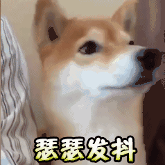 狗狗宠物店被打:为什么狗狗很害怕去宠物店？是美容师打它了吗？