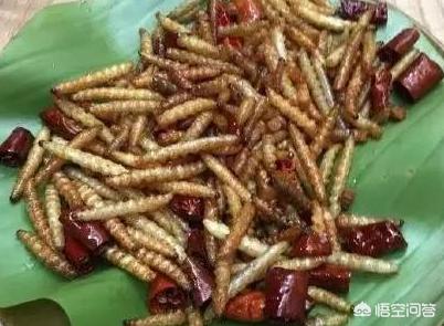 竹虫壮阳，云南西双版纳当地人吃的竹虫，有几种的做法