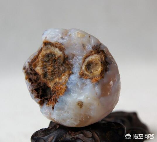 石头鉴定,怎样鉴定一块石头是否为化石？