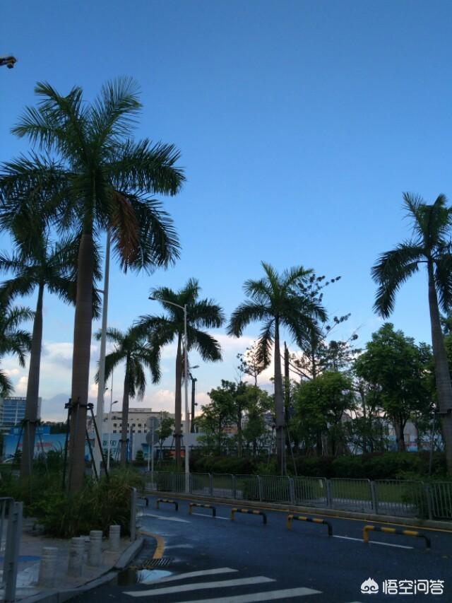 婚期被随意改动，结婚是儿戏吗？