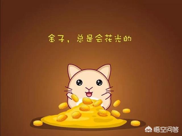 奇葩大会:你怎样看待奇葩大会上木汁月入十万？