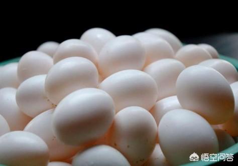 鸽子蛋营养物质有多高，鸽子蛋的功效与作用有哪些？